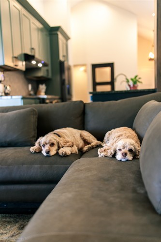 Moody Uintah Kitchen Remodel: The Marilyn Project