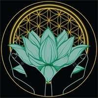 Healing Hands Collective LLC