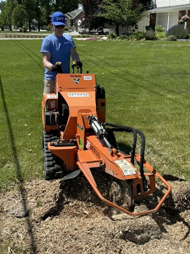 Gallery Image Tree_Stump_Removal_-_During.jpg