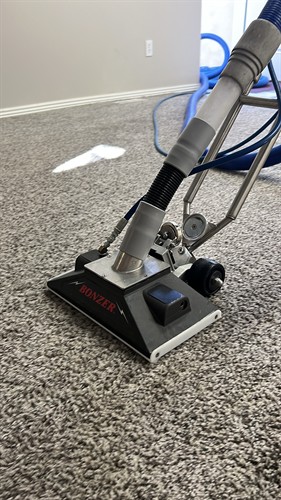 Carpet Extraction and Cleaning
