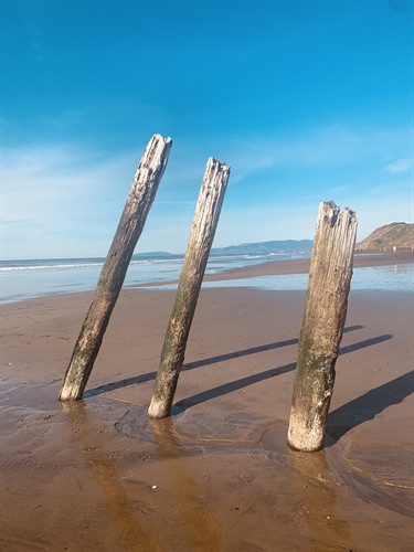 Gallery Image ocean.jpg