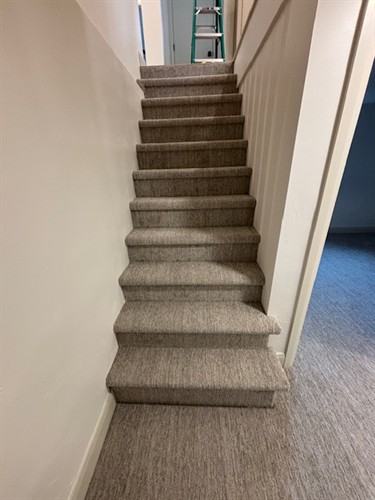 New Carpet to the Basement on Stairs