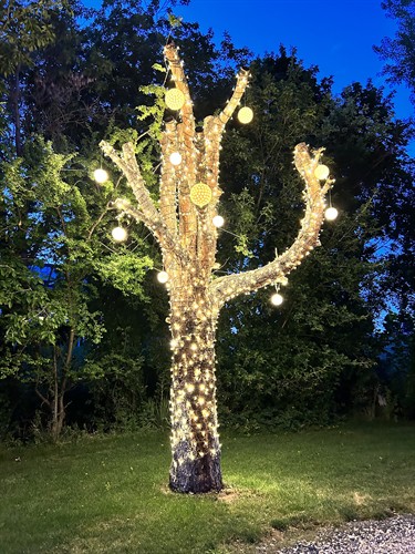 Landscape lighting