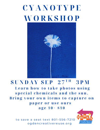 Gallery Image cyanotype_workshop_815_(1).png
