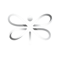 Dragonfly AI