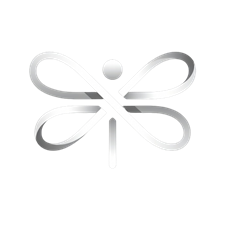Dragonfly AI