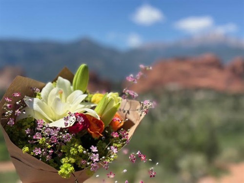 Gallery Image Garden_of_the_Gods.jpg