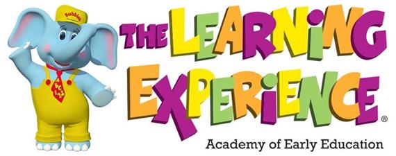 The Learning Experience