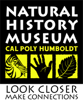 Explore Science Discovery Day at the Natural History Museum of Cal Poly Humboldt