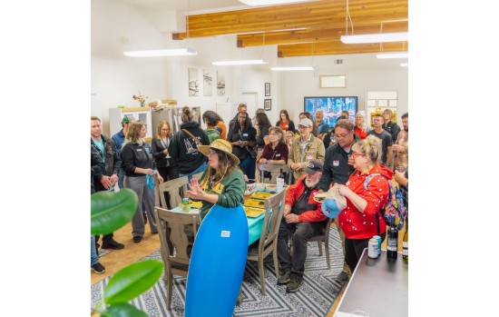 Business & Professional Services