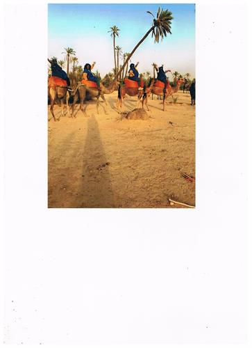 Clients Camel back riding in Morrocco