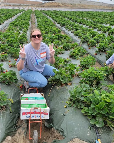 Harvesting fruit to feed families facing food insecurity!