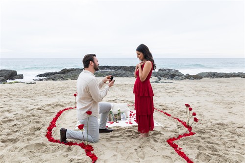 Beach proposal
