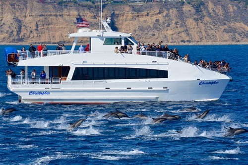 Gallery Image Christopher_dolphins.jpg