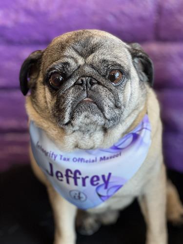 Jeffrey H. Newport, Esq.