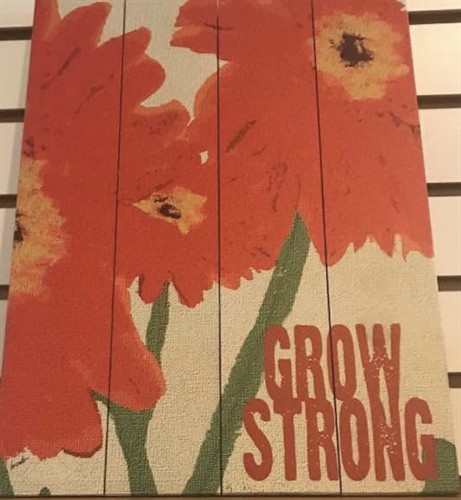 Gallery Image OA_Grow_Strng_IMG_7151.jpg