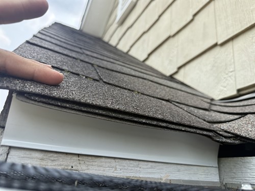 Nest Removed & Entry Point Sealed