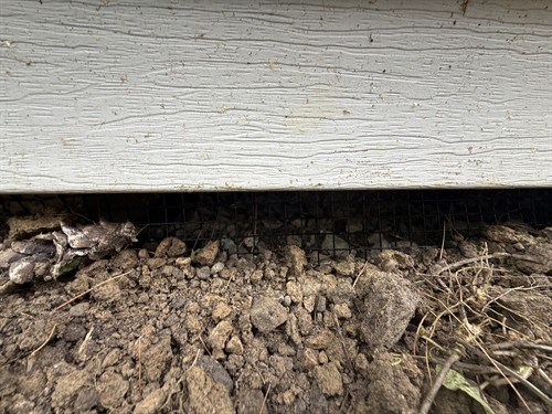 Shed Exclusion to prevent wildlife entry 