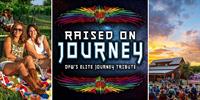 Journey covered by Raised on Journey /Texas wine/Anna, TX