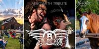 Aerosmith covered by Walk This Way / Texas Wine / Anna, TX