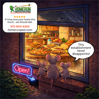 How Bait Stations Help Control Rodents Long-Term: What Anna Homeowners Should Know