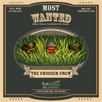 Summer's Most Wanted: The Chigger Crew