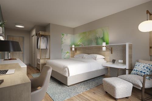 King Guest Room 