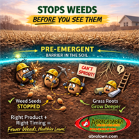 The Most Important Lawn Treatment Happens Before You See a Single Weed — Anna, Texas Edition