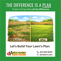 Hidden Lawn Problems Starting Right Now (And What Anna Homeowners Should Do About Them)