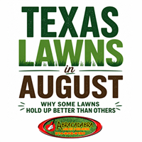 August Is When Healthy Lawns and Struggling Lawns Begin to Separate
