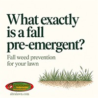 What exactly is a fall pre-emergent?