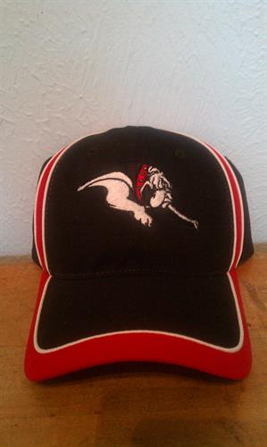 Hat wtih logo Hat wtih logo