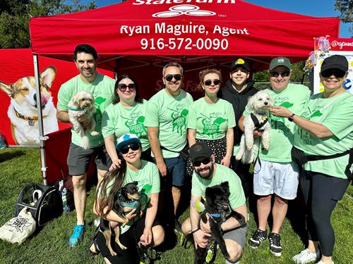 2024 Doggy Dash