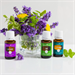 Introduction to Essential Oils, with Young Living