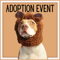 Cumberland Mall - Animal Adoption / 3-09-24