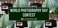 Cumberland Mall - World Photography Day Contest / 8-19-24
