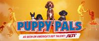 The Landis - Puppy Pals / 2-18-23 3pm
