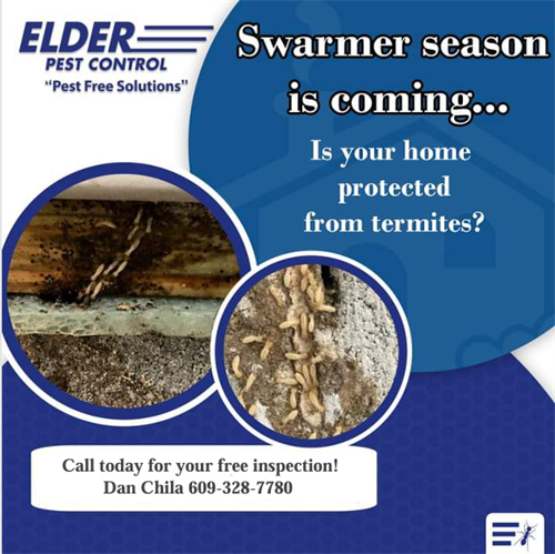Swarmer Season!