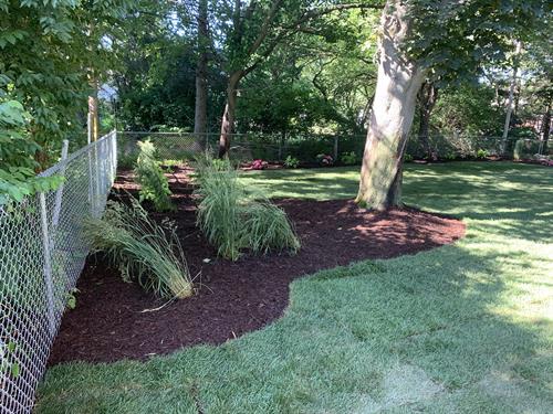 New backyard landscape installation