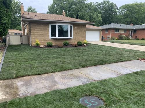 Front yard sod and plant installation