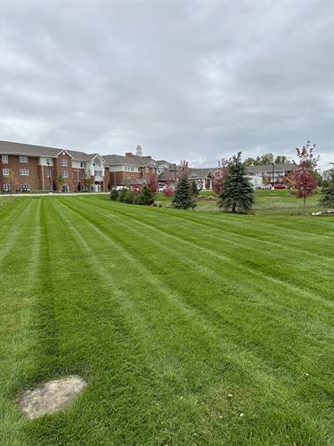 Commercial lawn care