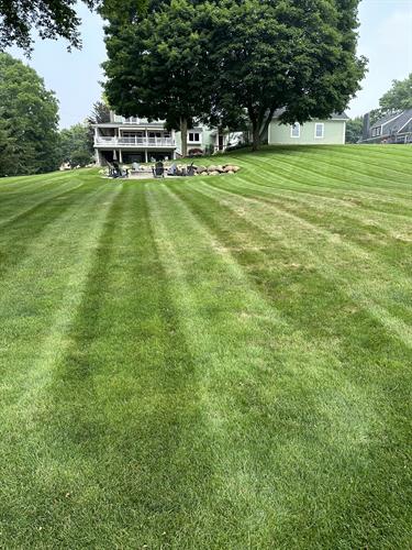 Gallery Image lawn_care_Livonia.jpg