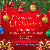 2025 Annual Tree Lighting