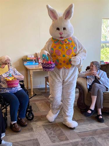 The Easter Bunny arrived! 2020