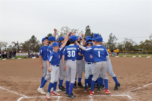 Gallery Image Cubs_Group.JPG