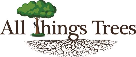 All Things Trees