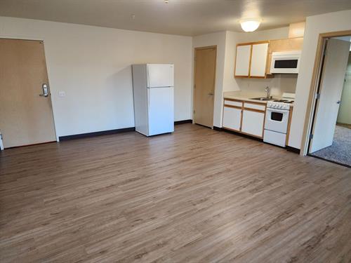 2-Bedroom (c3 floorplan) Kitchen/Living Room 2