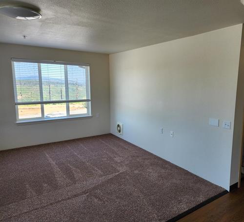 2-Bedroom (c5 floorplan) Living Room