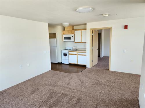 2-Bedroom (c5 floorplan) Living/Kitchen Area