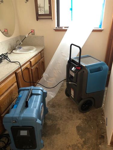 Mold remediation and dryout